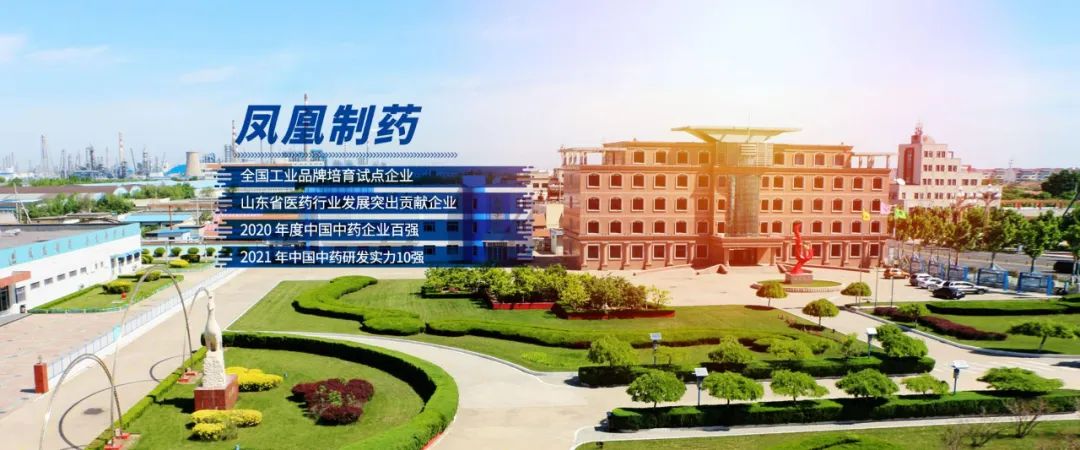 凤凰制药